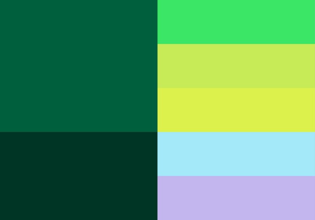5. Colour Palette